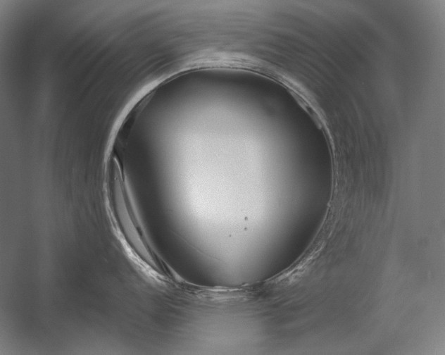 X0000053001152200507221240