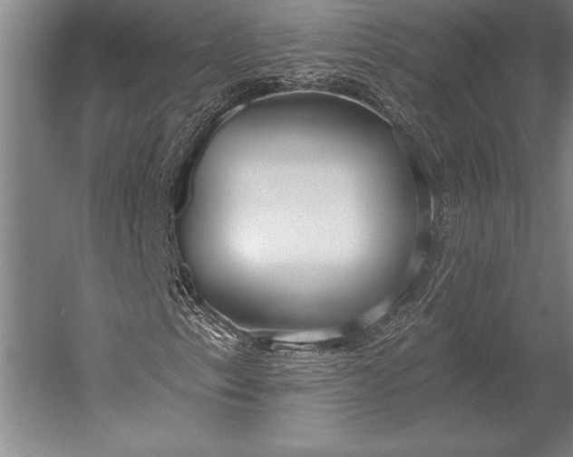 X0000053001153200507221239