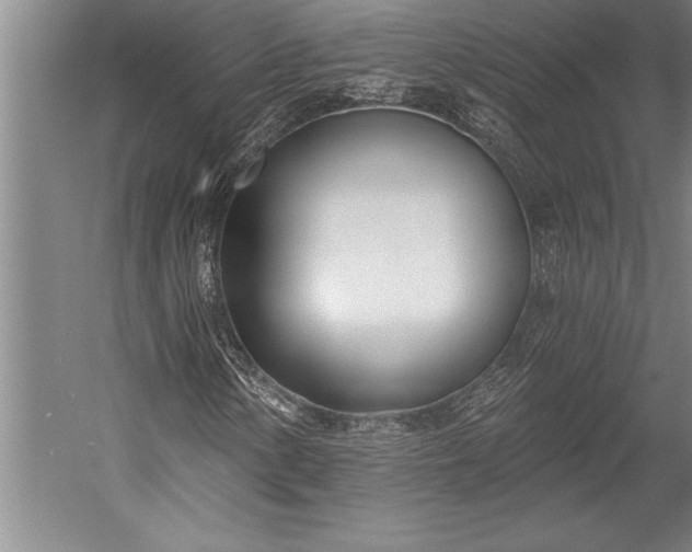 X0000053001154200507221239