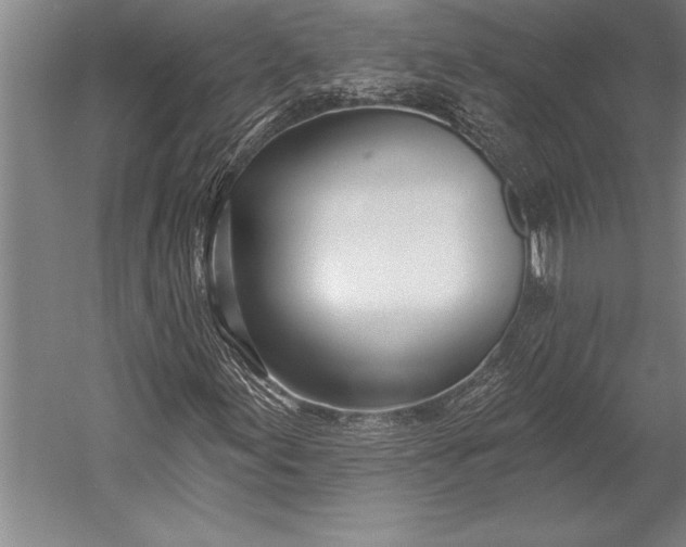 X0000053001155200507221239