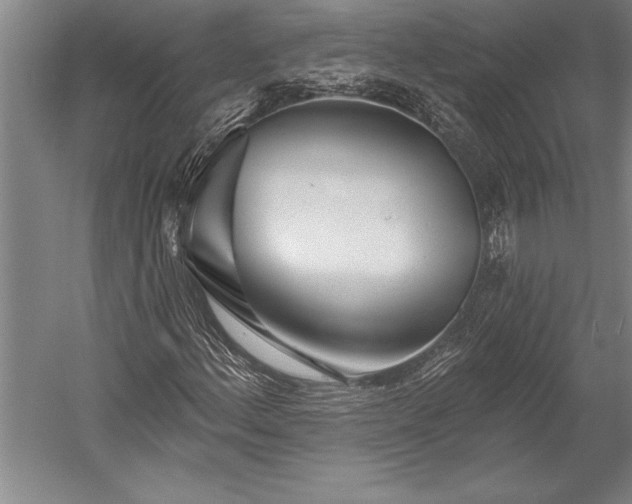 X0000053001156200507221239