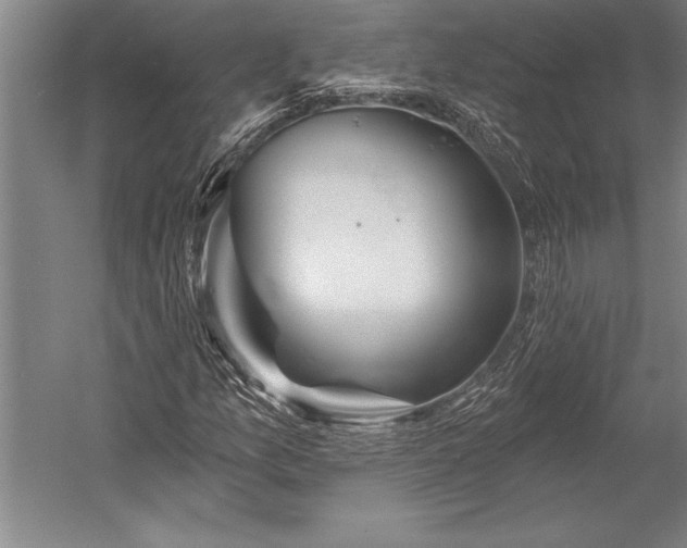 X0000053001157200507221239