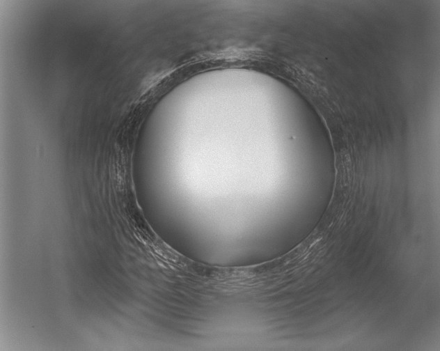 X0000053001158200507221239