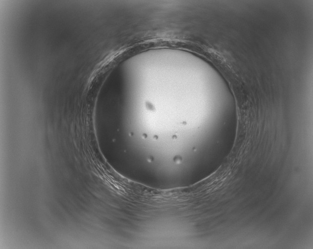 X0000053001159200507221239