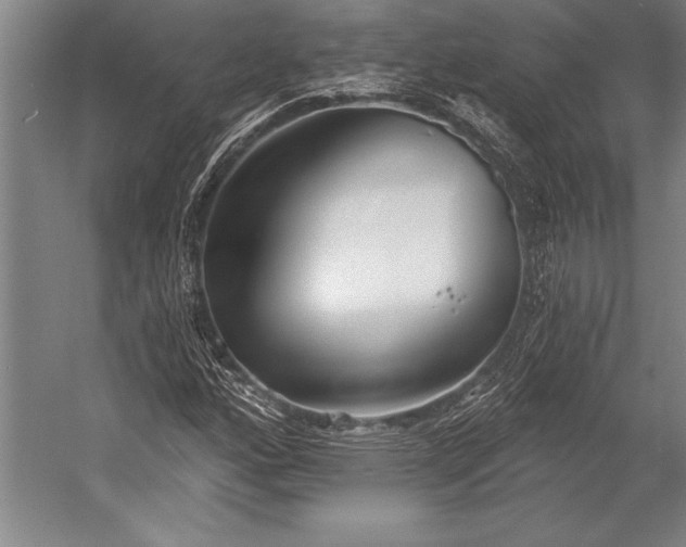 X0000053001160200507221239