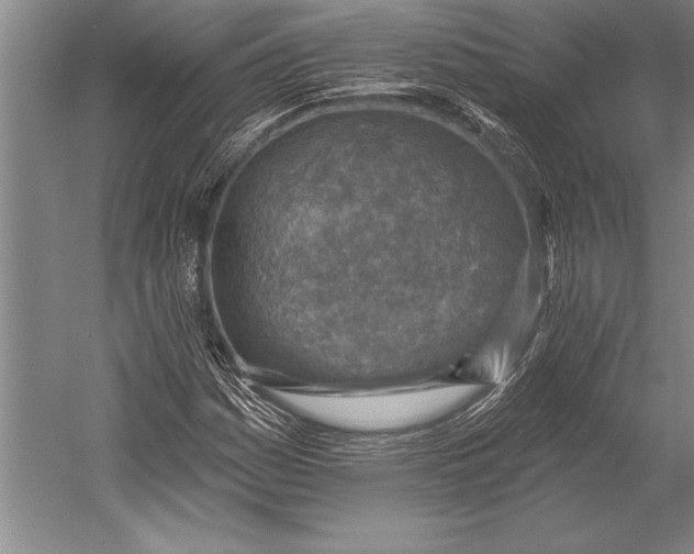 X0000053001161200507221239