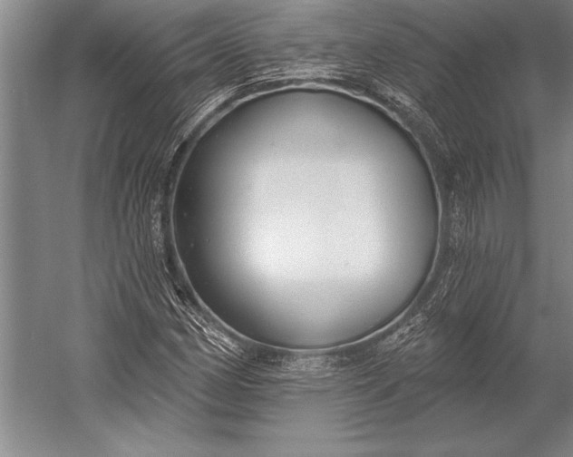 X0000053001162200507221239