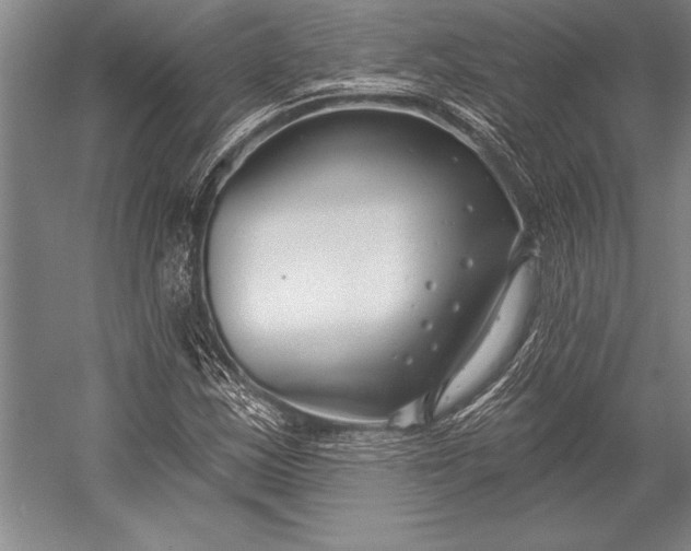 X0000053001163200507221239