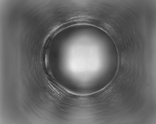 X0000053001164200507221239