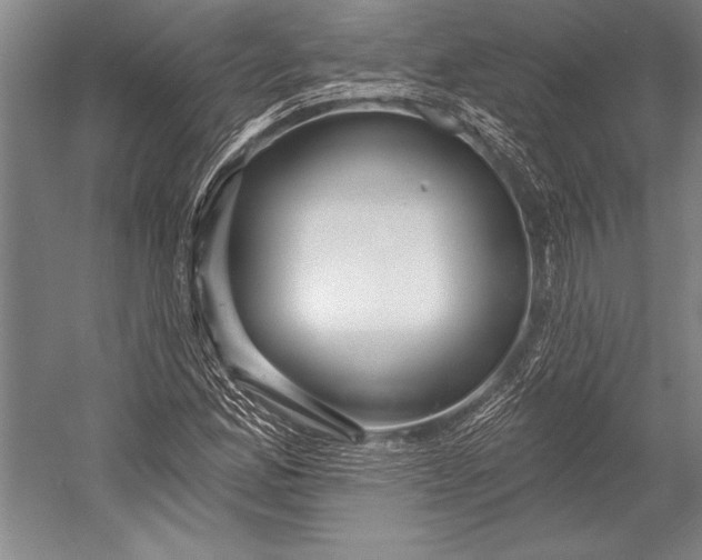 X0000053001165200507221239