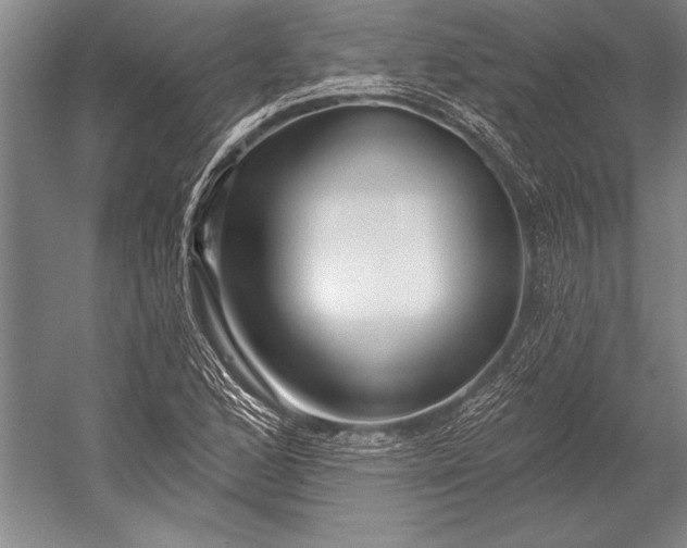 X0000053001168200507221239