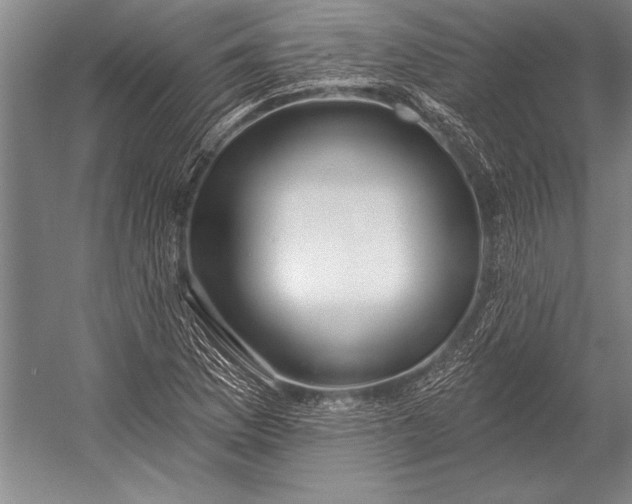 X0000053001169200507221239