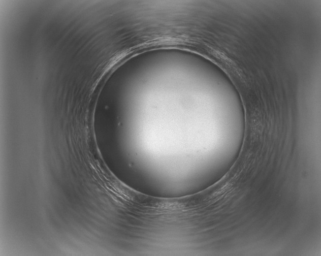 X0000053001170200507221239