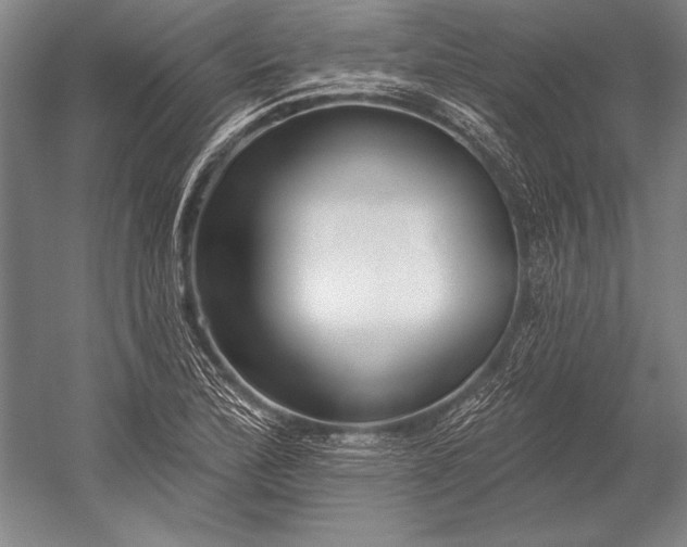 X0000053001172200507221239