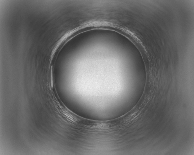 X0000053001175200507221239