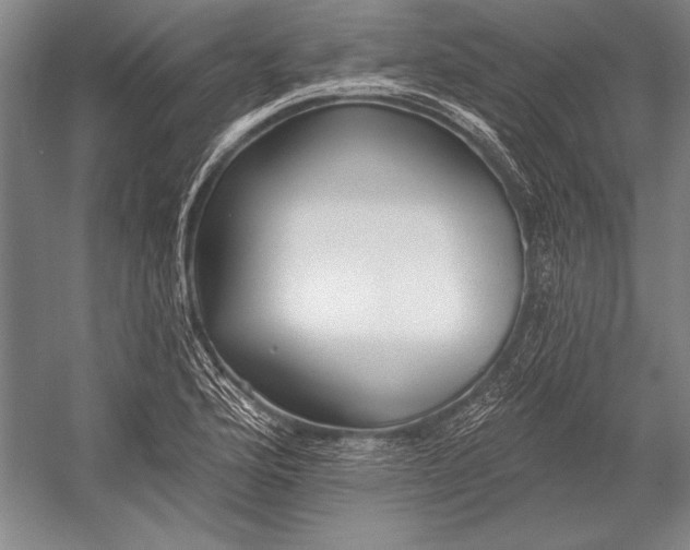 X0000053001176200507221239