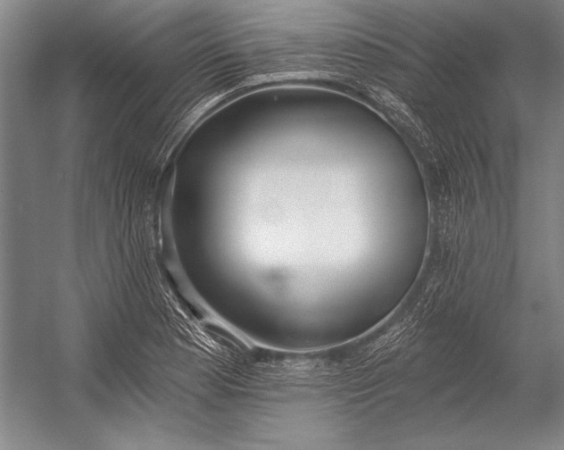 X0000053001177200507221239