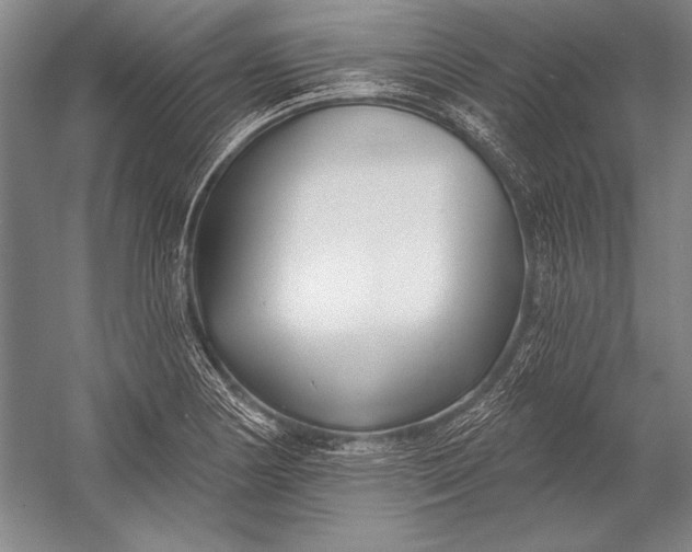 X0000053001178200507221239