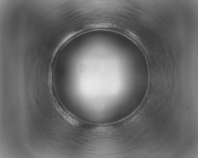 X0000053001179200507221239