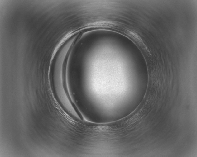 X0000053001180200507221239