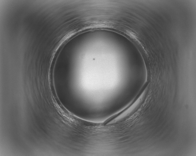 X0000053001181200507221239