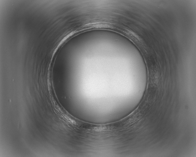 X0000053001182200507221239