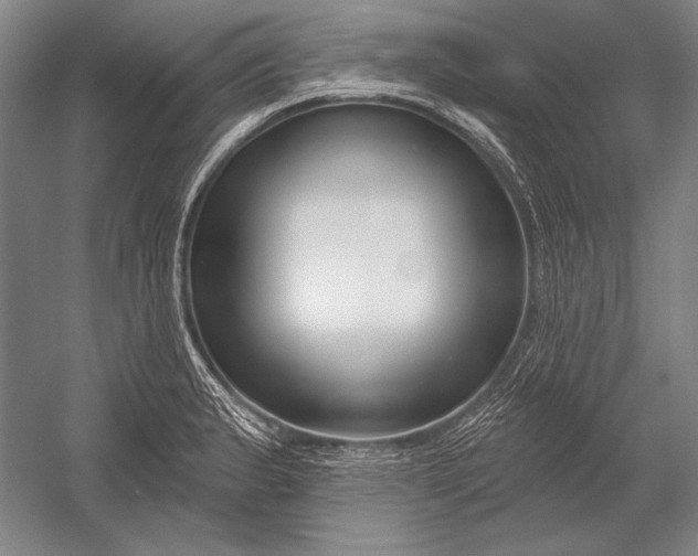 X0000053001183200507221239