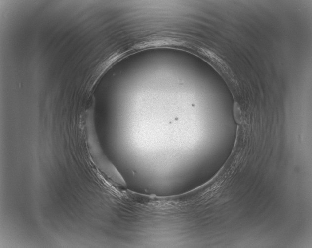 X0000053001185200507221239