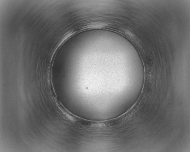 X0000053001186200507221239