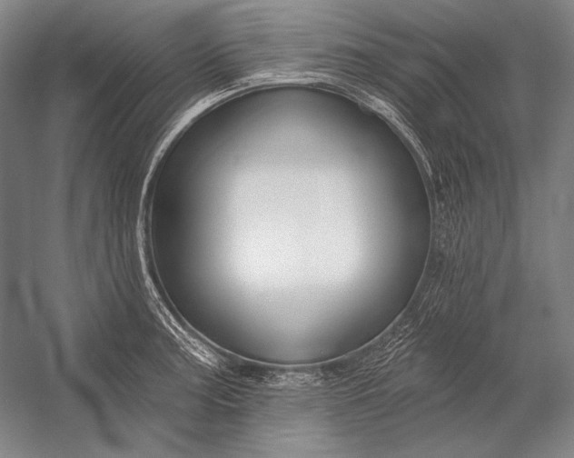 X0000053001187200507221239