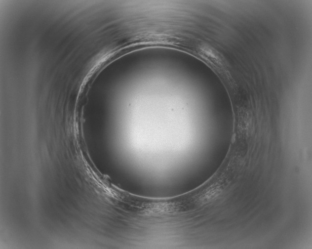 X0000053001188200507221239