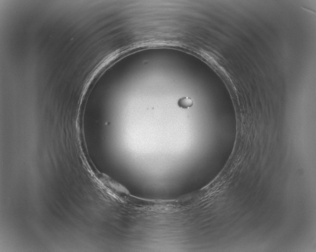 X0000053001189200507221239