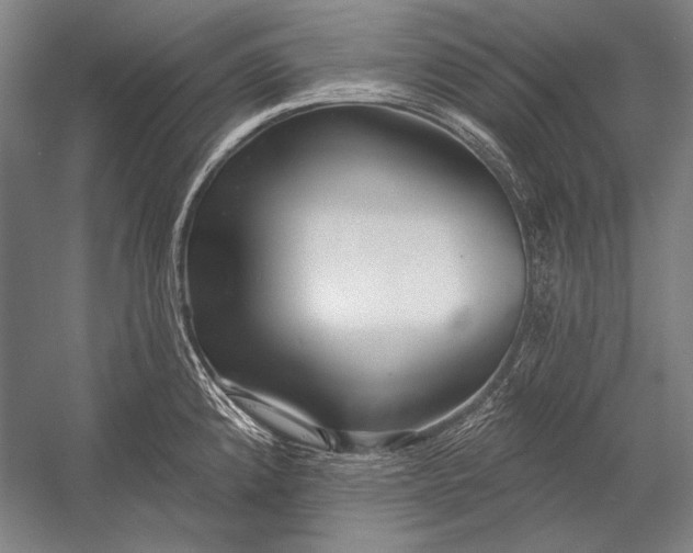 X0000053001192200507221239