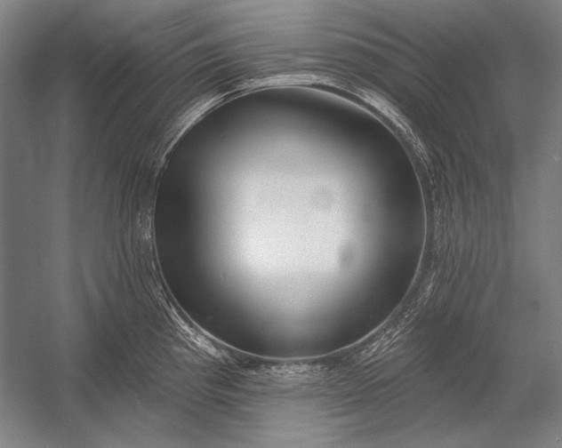 X0000053001193200507221239