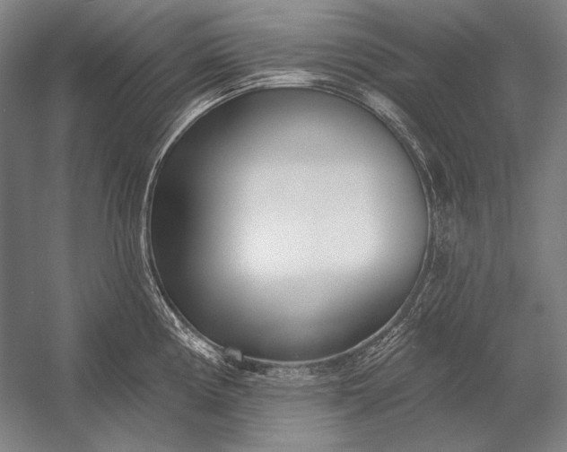 X0000053001194200507221239