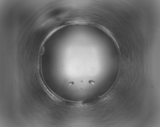 X0000053001195200507221239