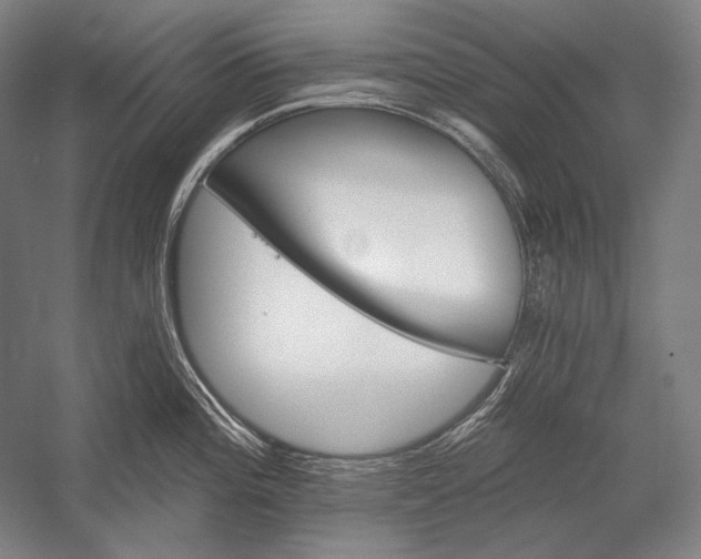 X0000053001196200507221239