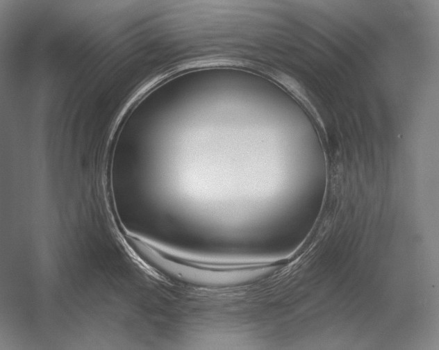 X0000053001197200507221239