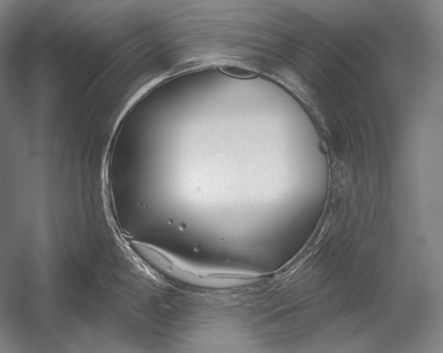 X0000053001198200507221239