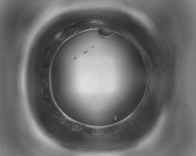 X0000053001199200507221239