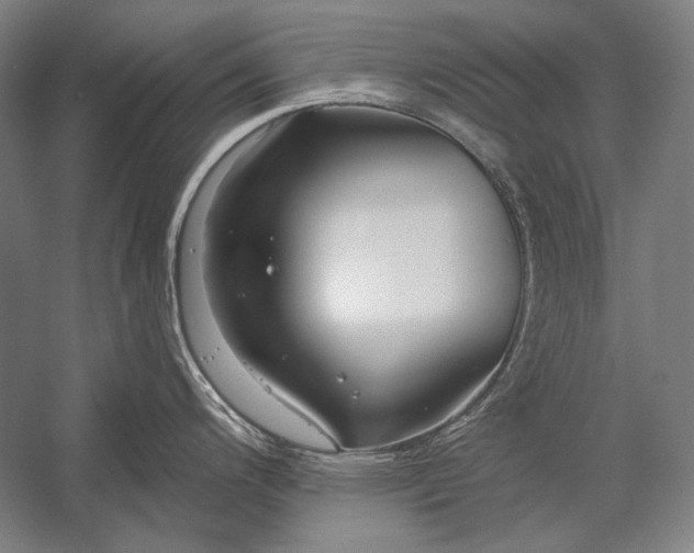 X0000053001200200507221239