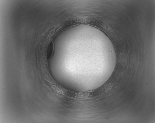 X0000053001201200507221238