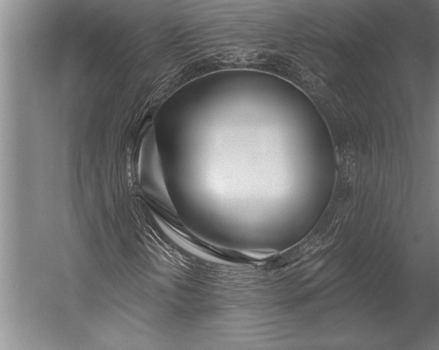 X0000053001202200507221238