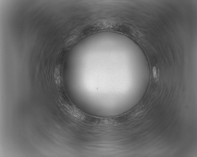 X0000053001203200507221238