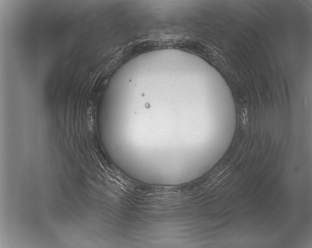 X0000053001204200507221238