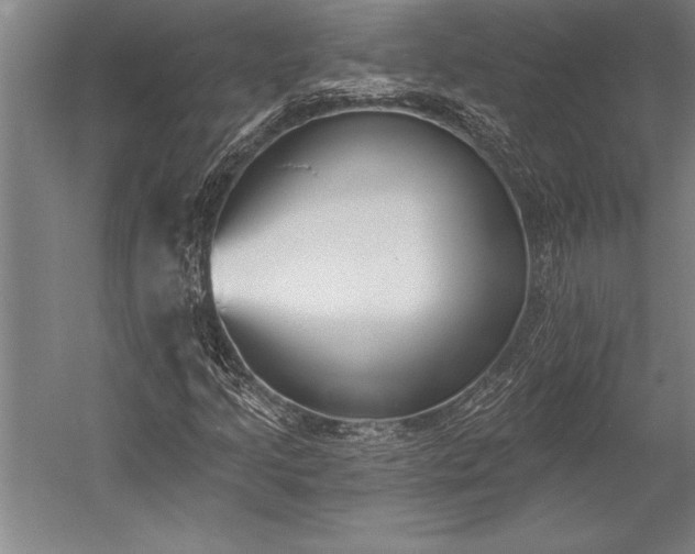 X0000053001205200507221238