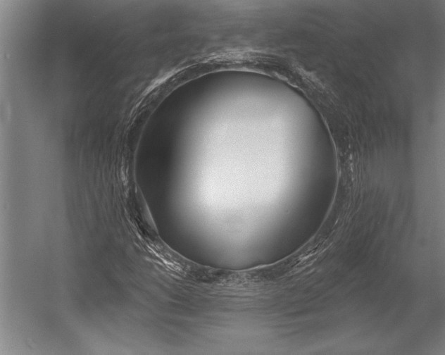 X0000053001206200507221238