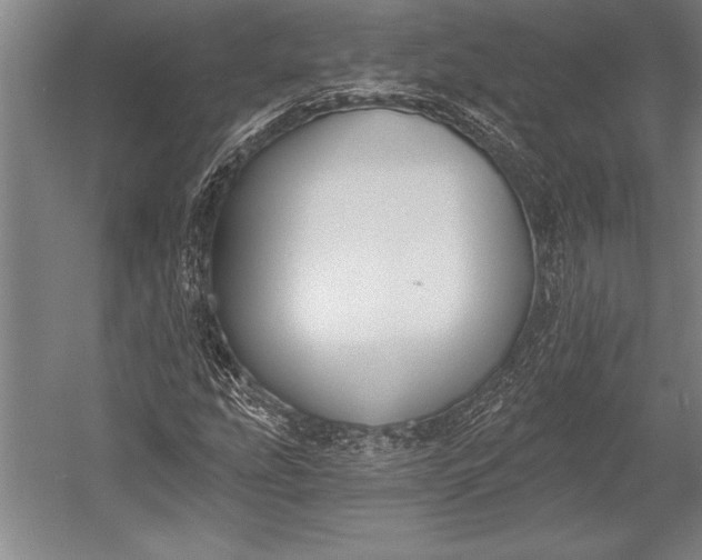 X0000053001207200507221238