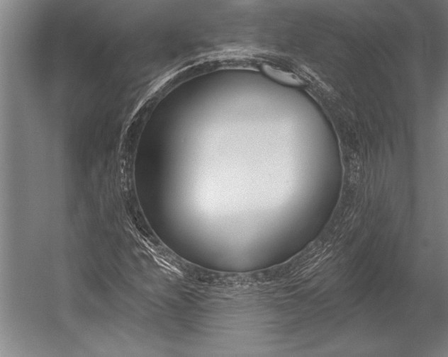 X0000053001208200507221238