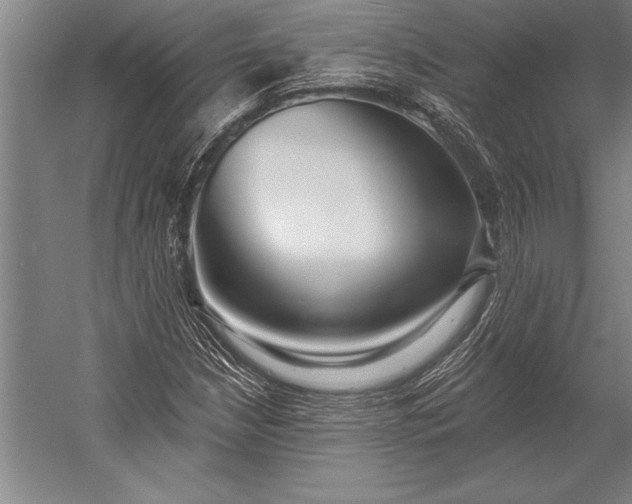 X0000053001210200507221238